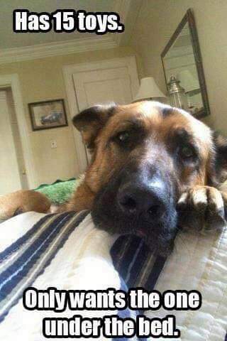 08:45:12 GMT-0400 (EDT)