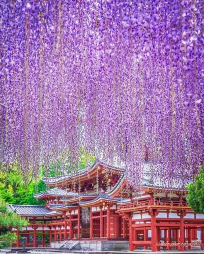 178512625_309612500534759_8041600965926665212_n