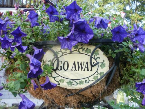 {6E379AD8-26F4-4A7E-9F58-248511B89762}-SUMMER JULY.2011 010