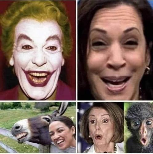 175816105_256360469456102_3114825593026830775_n