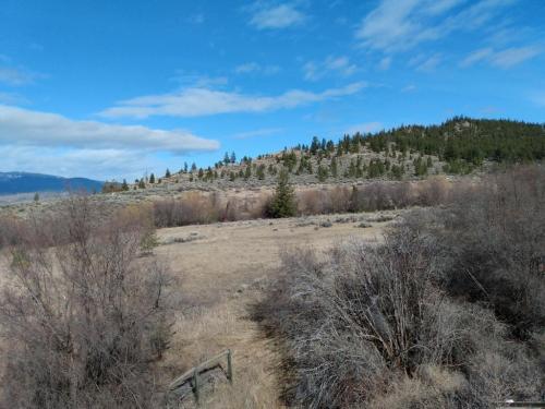 IMG_20210403_103840503