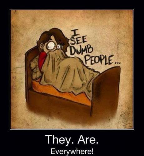 39454017_1855291574559424_4590156734646976512_n