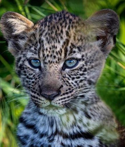 15:10:07 GMT-0500 (CDT)