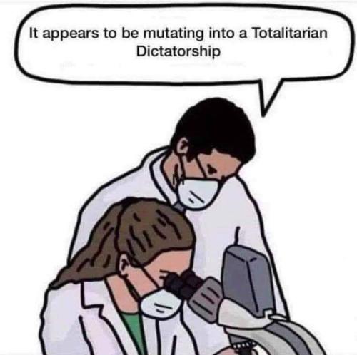 06:42:53 GMT-0500 (CDT)