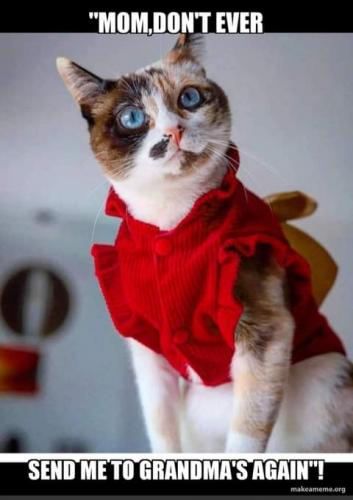 18:25:06 GMT-0700 (PDT)