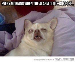 16681492-58A2-4C80-BEA9-5B8CC92F5294