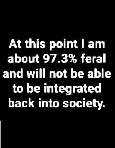 17:11:19 GMT-0700 (MST)