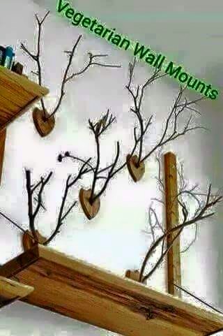 11760191_1042857672400213_7509183647361100721_n