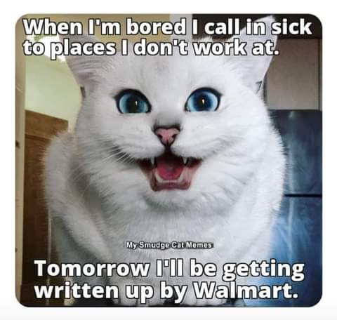 19:10:04 GMT-0700 (PDT)