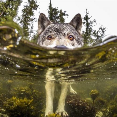 39077875_10209525973266383_8534167555512729600_n