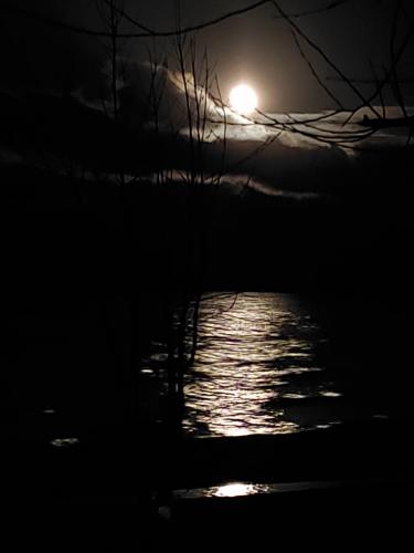 01:13:49 GMT-0400 (EDT)