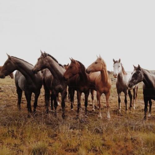 68ac3e67558477d7a7f8e025f5bad244