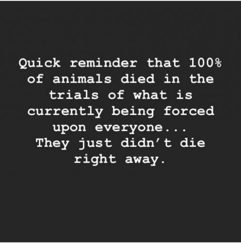 00:08:14 GMT-0700 (PDT).image