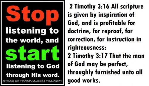 15241829_1372907366087307_256194943423009489_n