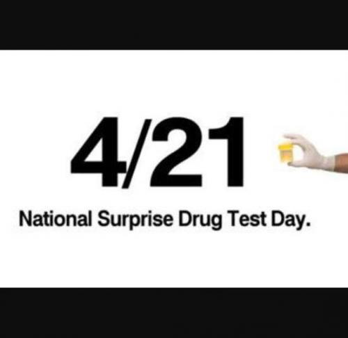 11182225_806621286072653_2877650072171676509_n