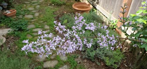 13:15:18 GMT-0700 (PDT)