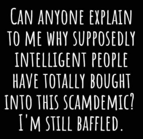 11:23:14 GMT-0400 (EDT).image