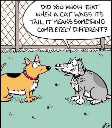 19:17:46 GMT-0500 (CDT)