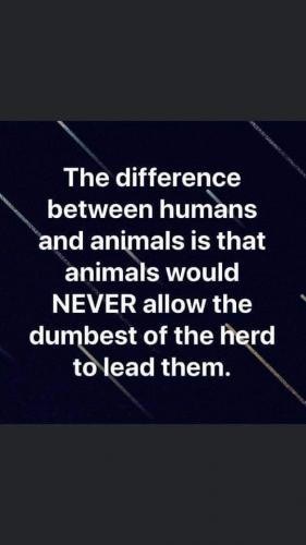 13:19:20 GMT-0500 (CDT).image