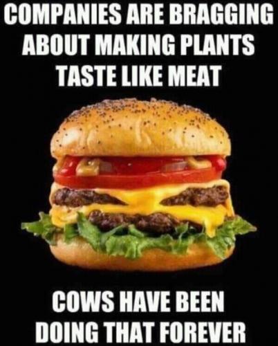 19:42:50 GMT-0400 (EDT)