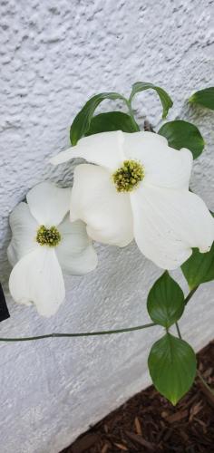 17:54:52 GMT-0700 (PDT)