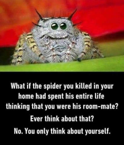 18:35:44 GMT-0400 (EDT)