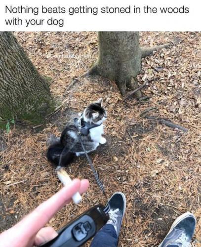 15:25:12 GMT-0400 (EDT)