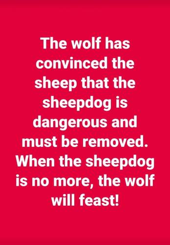 The wolf has convinced the sheep that the sheepdog is dangerous