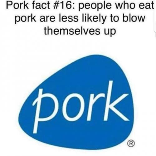 74908150_3040817809265986_2664394945032355840_n