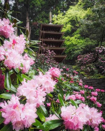 178077635_3879315595520877_3753132871523667841_n