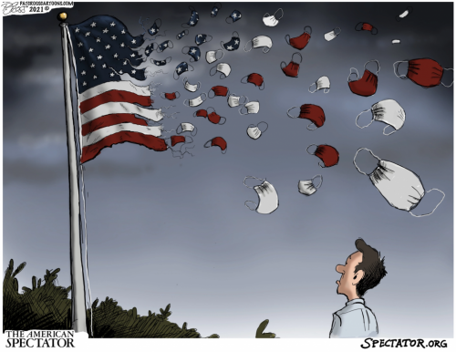 Liberty Disappearing