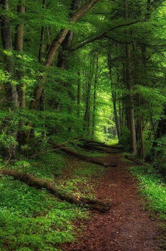 173215375_1553204824878862_6114320676324472697_n