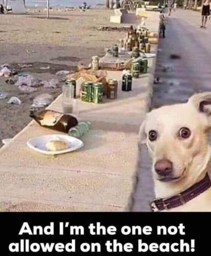 18:58:01 GMT-0500 (CDT)