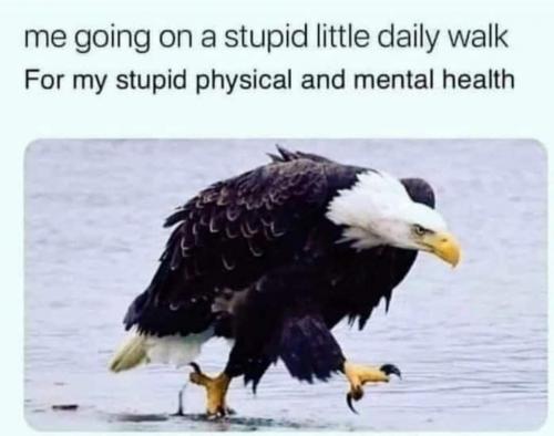 FB_IMG_1619043218473