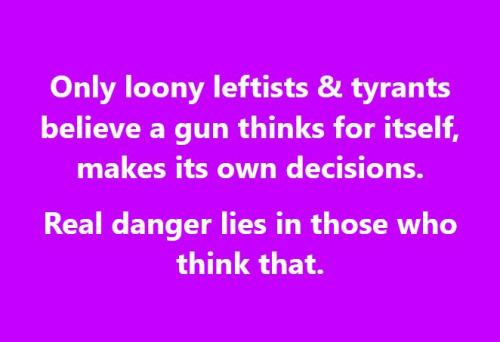 Loony Lefts Tinking Guns