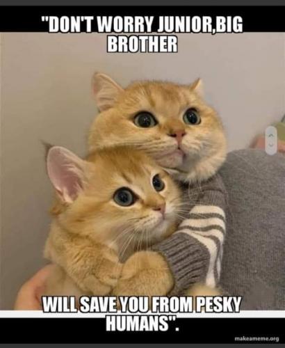 22:49:18 GMT-0700 (PDT)