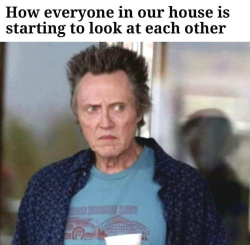 92516021_2311584279144532_7866213726242734080_n