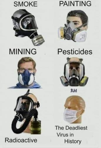 173934065_494376301585764_1476934009688852878_n