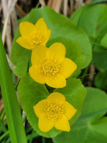 14:28:35 GMT-0500 (CDT)