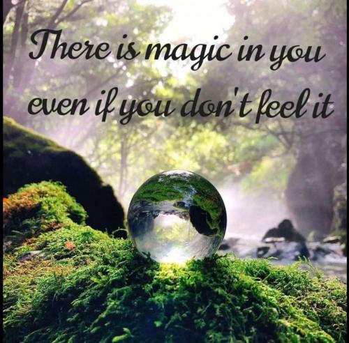 8E85A7C6-8AEB-44D5-8EF3-0DB3BF335A36