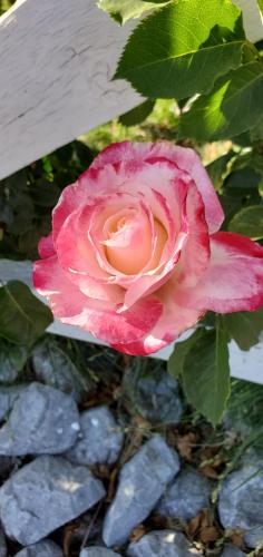 17:54:52 GMT-0700 (PDT)