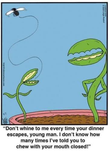 20:33:07 GMT-0700 (PDT)