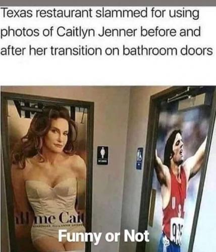 bathroom door art caitlyn jenner vs bruce jenner tranny lgbt gender lunacy