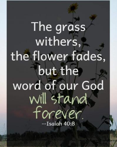 06:25:40 GMT-0700 (PDT)