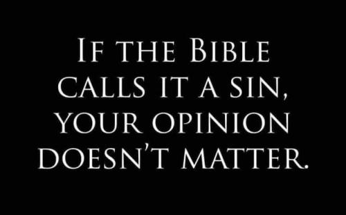 174324660_1778683532342141_1523179657379268666_n