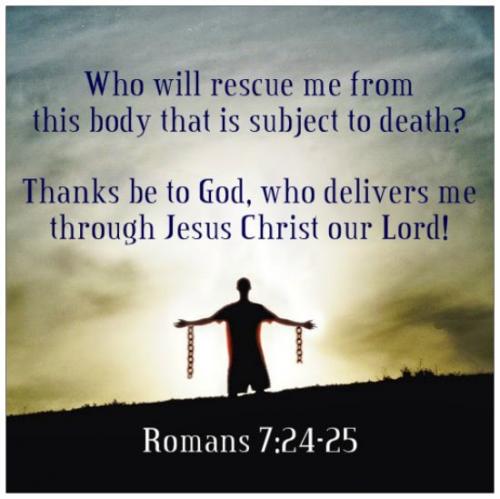 61545838_723571301379552_8925992736117489664_n