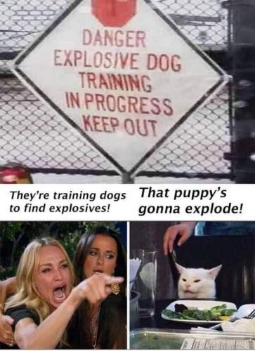 21:35:52 GMT-0700 (PDT)