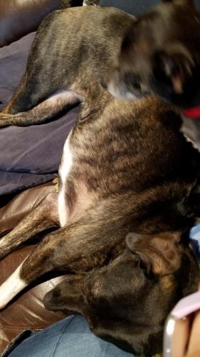 14:07:42 GMT-0400 (EDT)