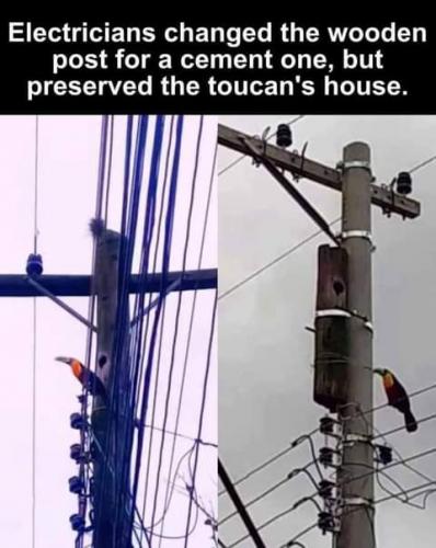 20:29:25 GMT-0700 (PDT)