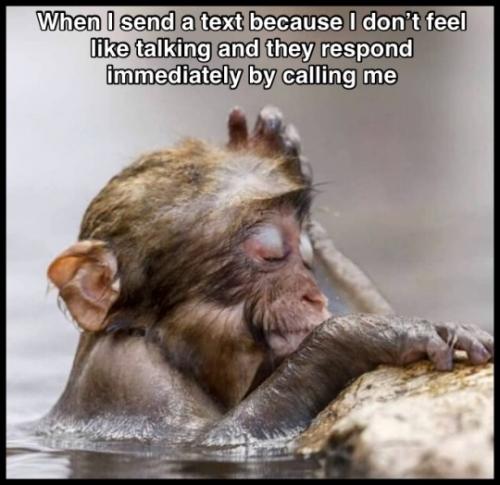 tumblr_3f3f56133a37de5ba0944b221bb3a4e5_9449910a_540